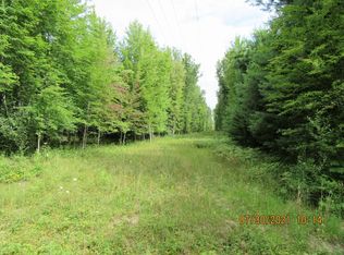 13690 S Chapin Rd LOT WP001, Brant, MI 48614