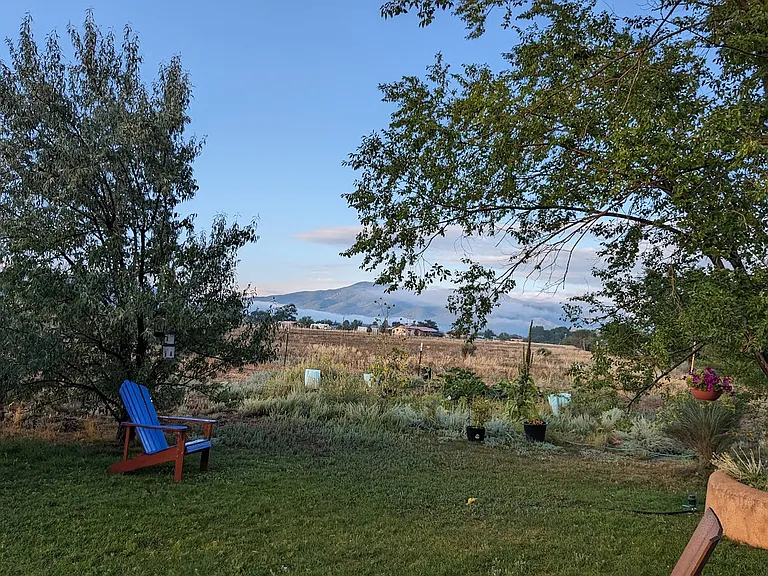 View from the back patio