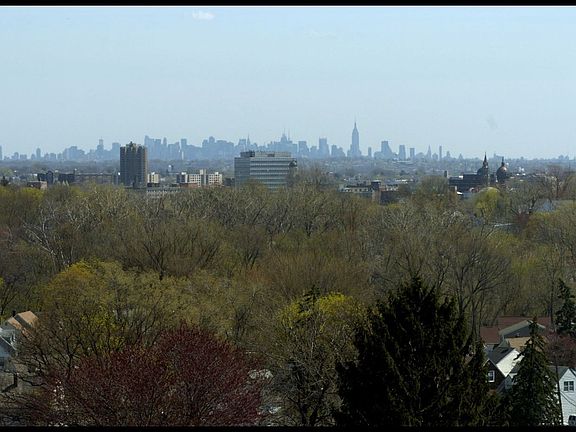 View from Pation