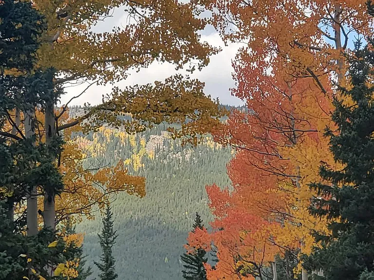 Hiking in Moose Run