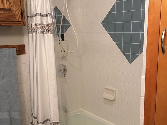 Main bath shower and tub