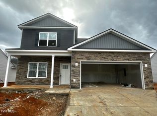 225 Chimney View Loop, Blountville, TN 37617