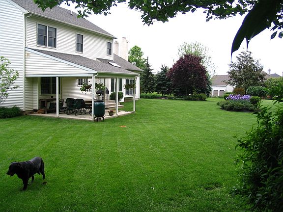 backyard and porch