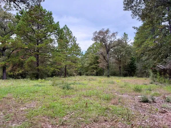 R380436 County Road 3266, Colmesneil, TX 75938