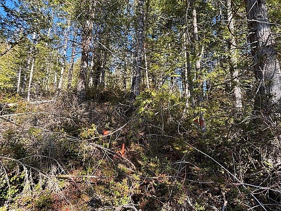 4th image of 1 NKA Yashi Road