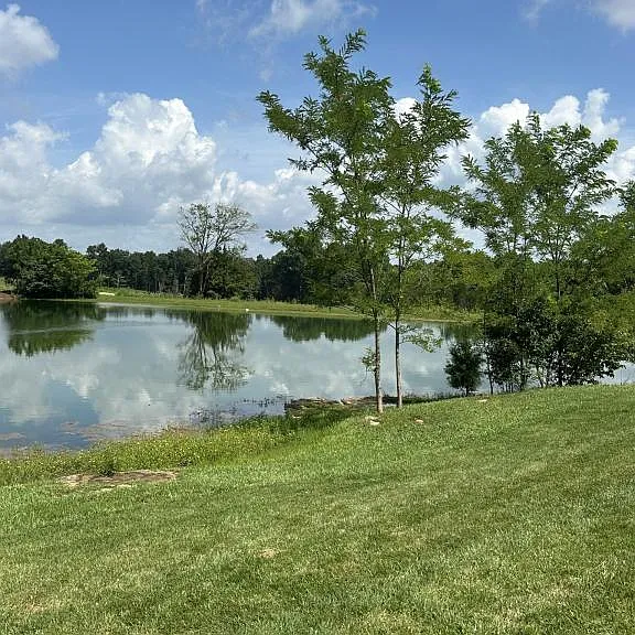 155 Strawberry Field Dr — Photo 30