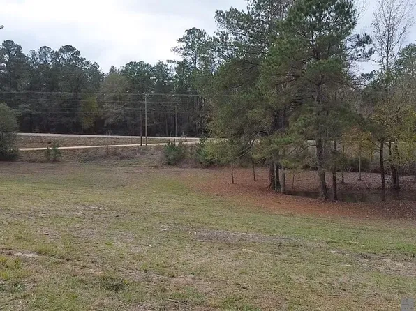 TRACT P Griffin Rd #A, Kentwood, LA 70444