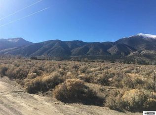 221 Artesia Rd, Wellington, NV 89444