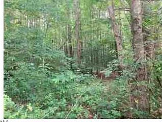 3rd image of 2539 Manchester Dr #128