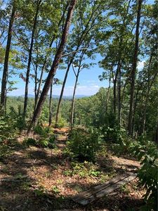 0 White Oak Cir #3, Blue Ridge, GA, 30513