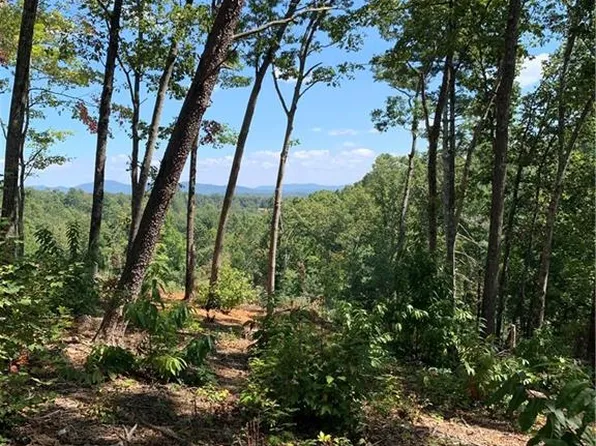 0 White Oak Cir #3, Blue Ridge, GA 30513