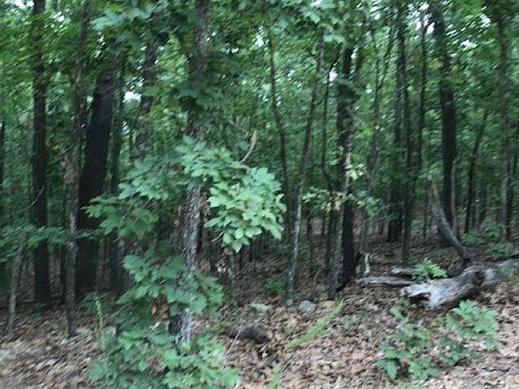 3rd image of LOT 43 Byhalia Trl Lot 43
