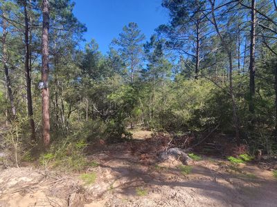 LOT 20 E Snapdragon St, Defuniak Springs, FL, 32433