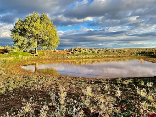 TBD Road 17, Cortez, CO 81321