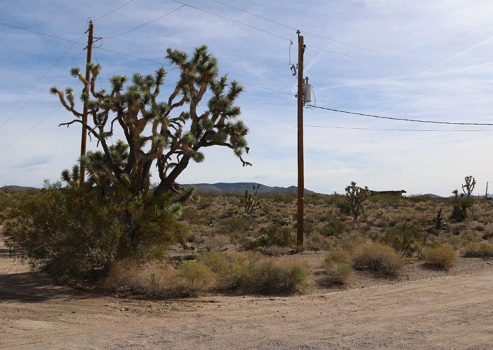 2nd image of 8636 Quail Ridge Dr