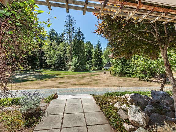 Meadow in the middle