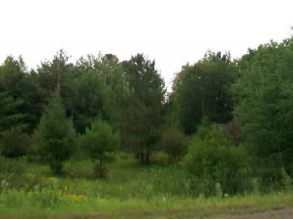 18XX County Road 4, Carlton, MN 55718