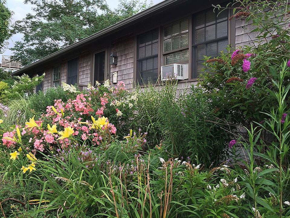 Front garden mid-summer 