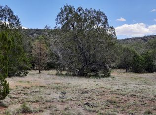 44700 N Caruso Way, Seligman, AZ 86337