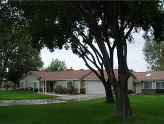 Mature Trees, Huge Yard!