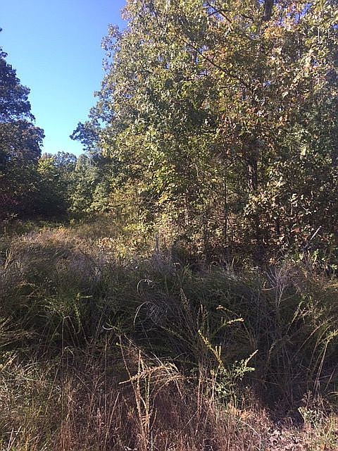 SCERENE GETAWAY, WALK, HUNT 