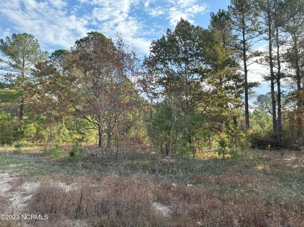 541 Governors Estate Drive, Elizabethtown, NC 28337