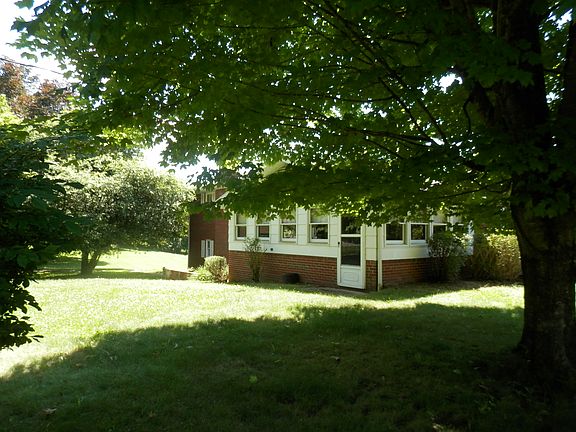 Shaded Back Yard