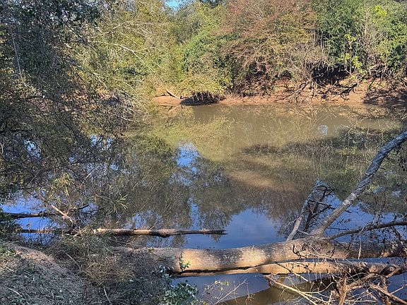 5th image of 0 County Road 432 Lot 6-L6