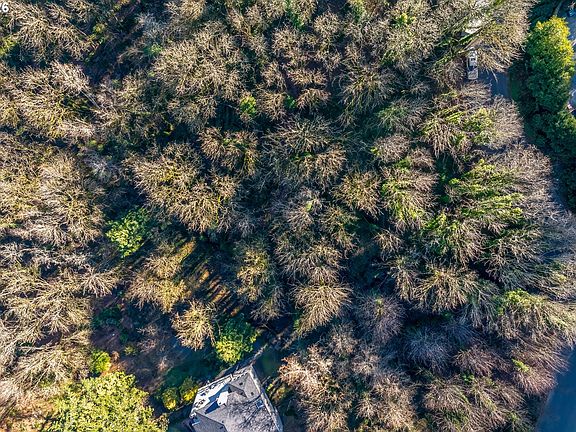 3rd image of NW Royal Blvd Lot 3