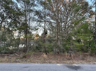 0 Malauka Pass Crse #13, Ocklawaha, FL 32179