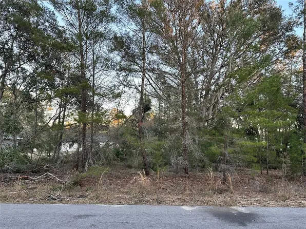 0 Malauka Pass Crse #13, Ocklawaha, FL 32179