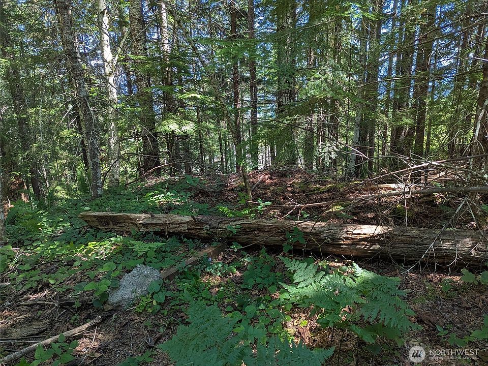 2nd image of 111 Dow Mtn Road