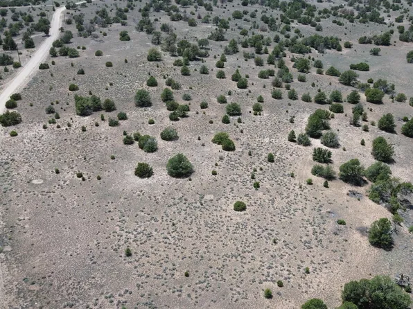 8 Horseshoe Trl, Quemado, NM 87829