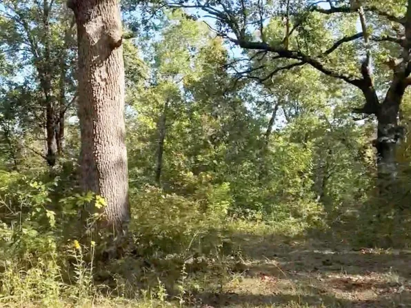 000 State Hwy C #Tract 12, Purdy, MO 65734