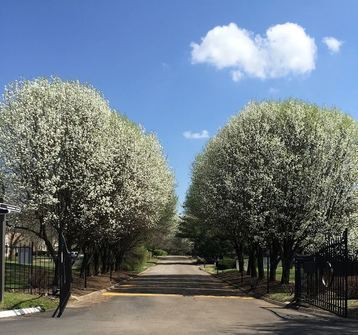 Building Photo - The Willows
