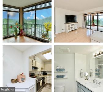 5901 Mount Eagle Dr APT 817, Alexandria, VA, 22303