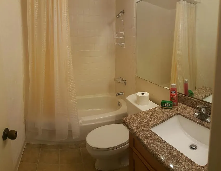 Studio, 464 sqft, $2,500 — Photo 4