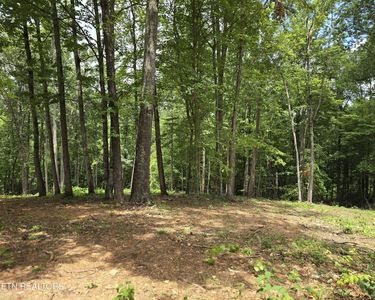 248 Norman Rd Lot 2, Powell, TN, 37849