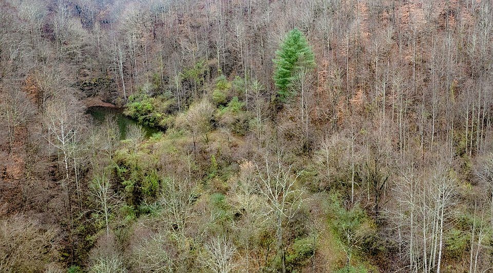 2nd image of 0 Brown Branch Rd #Dix-088.00