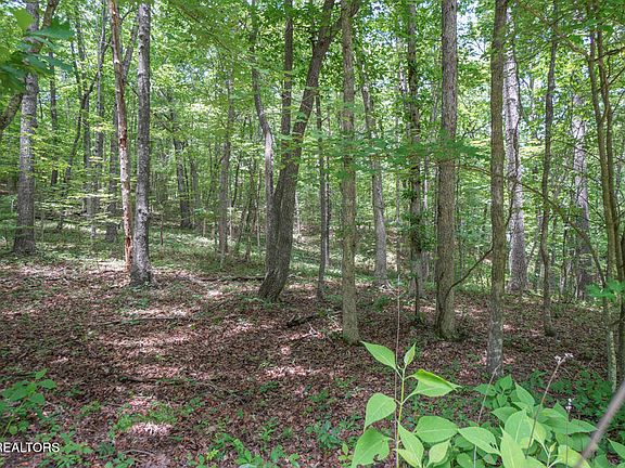 3rd image of S Peterson Rd