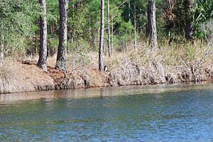 Freshwater Canal