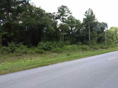 4800 Randolph St, Hastings, FL, 32145