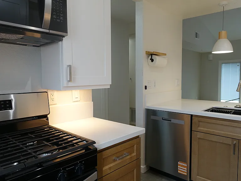 Kitchen: Stainless steel dishwasher.