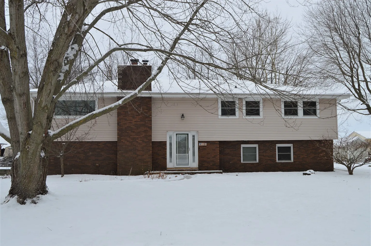 119 Olive St photo 1