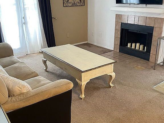 Wood Burning Fire Place
