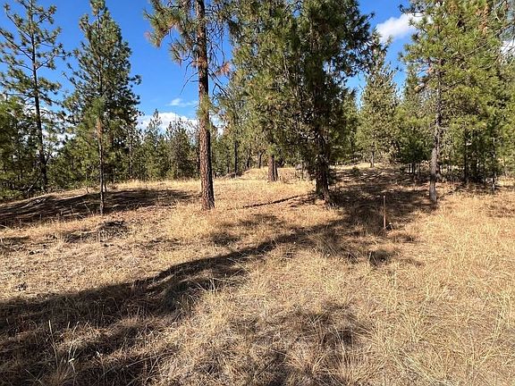 2nd image of Corkscrew Canyon Rd Parcel B