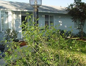 Front, from the driveway