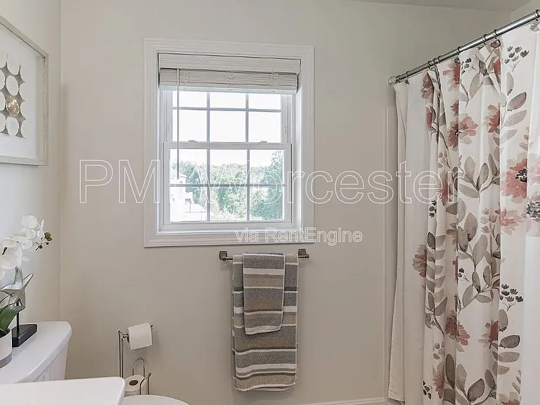 1 Sourwood Cir — Photo 29