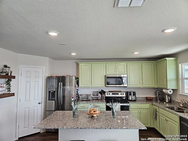 535 Wild Olive Way — Photo 15