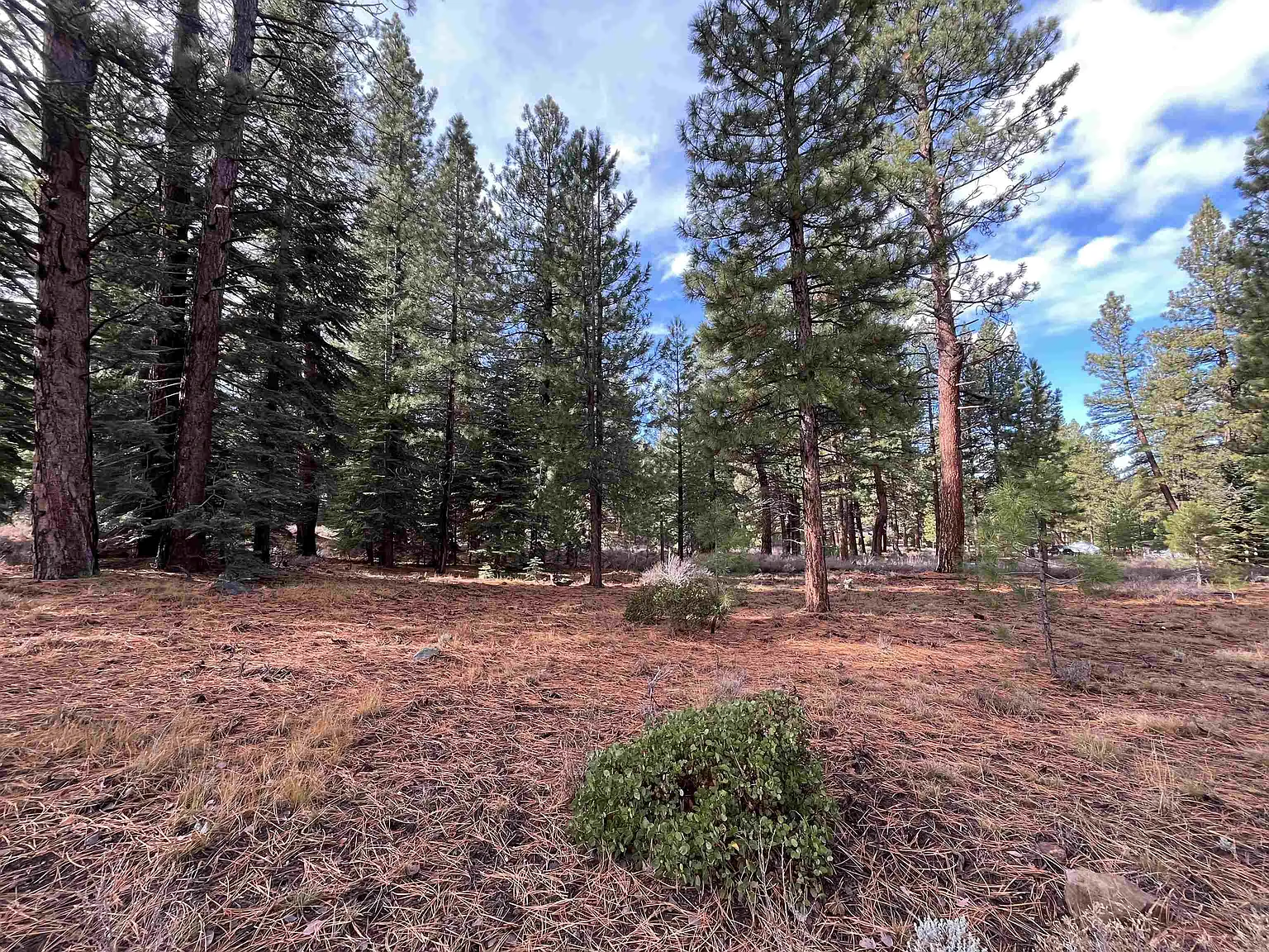 15411 Kent Dr photo 1